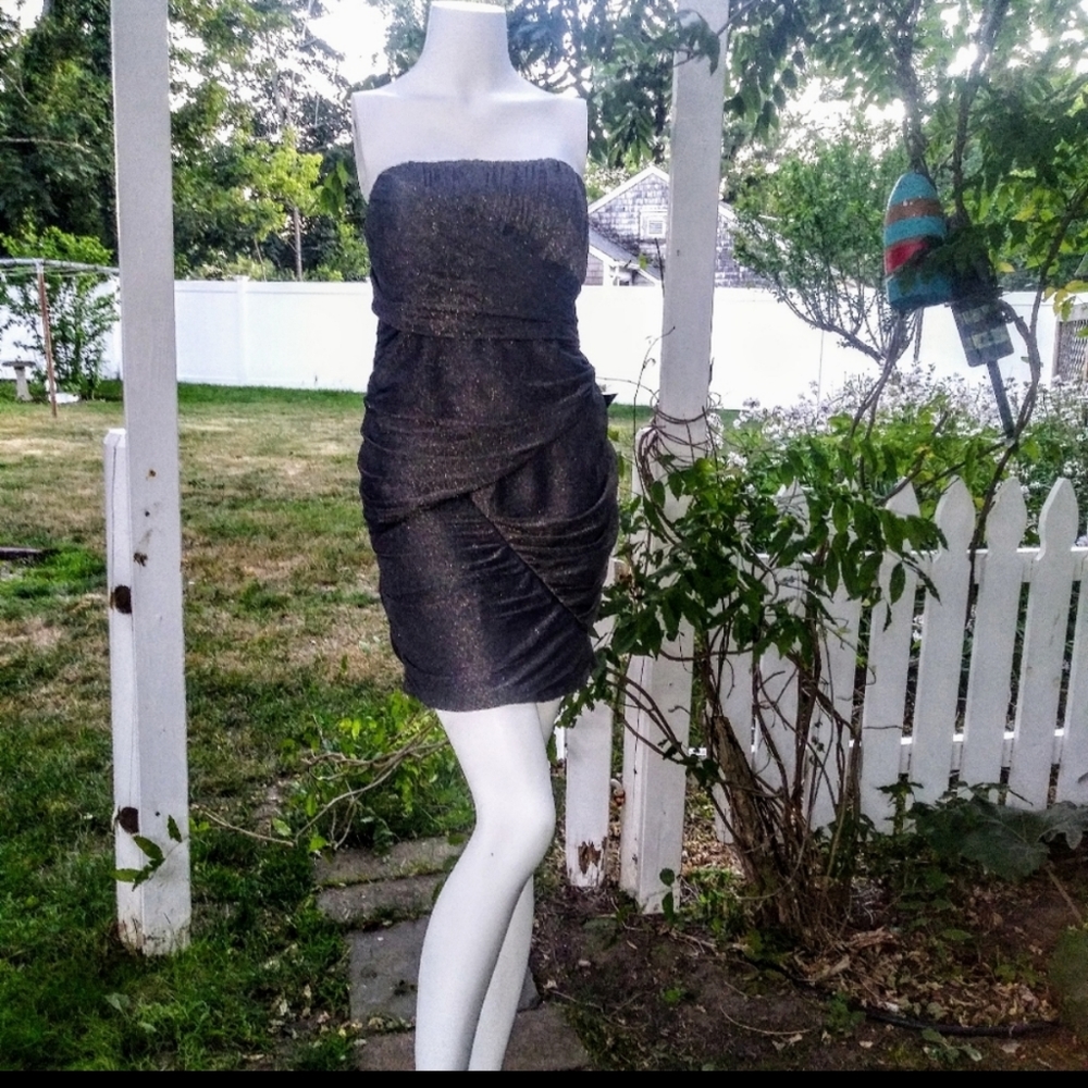 NWT gunmetal dress
